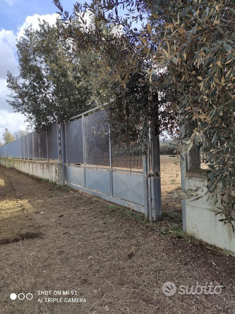 Terreno agricolo di 2700 mq a Varcaturo - Vista 5