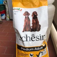 Schesir medium adult