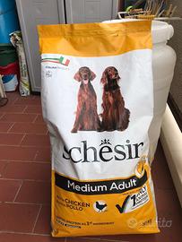 Schesir medium adult