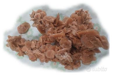 ROSA DEL DESERTO  O  ROSE DI SABBIA (3)