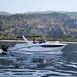 SEAPROP GRANSPORT 31 CON 2 X SUZUKI 300 CV.