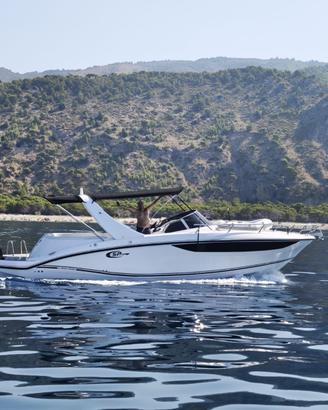 SEAPROP GRANSPORT 31 CON 2 X SUZUKI 300 CV.