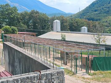 Copertura acciaio 35 mt