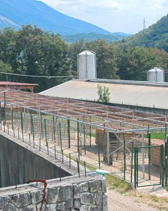 Copertura acciaio 35 mt