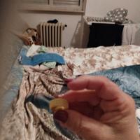 anello fede sarda 925 