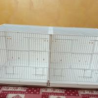Gabbia per uccelli 