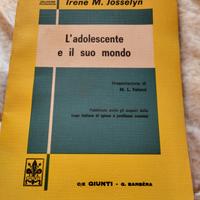 L'adolescente e il suo mondo 1964