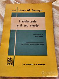 L'adolescente e il suo mondo 1964