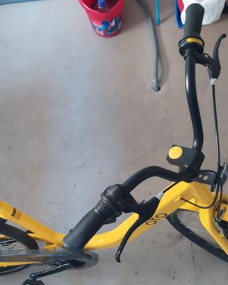 Ofo bike