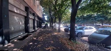 NEGOZIO A BRESCIA