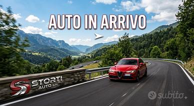 Fiat Punto Evo 3 Porte Punto Evo 3p 1.2 Dynamic 65