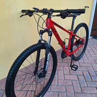MTB Olympia Cobra Alluminio Ruote 29" Taglia S