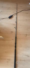 Canna da pesca spinning siluro