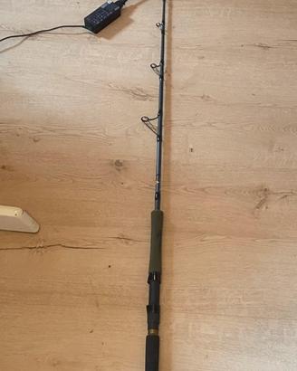 Canna da pesca spinning siluro