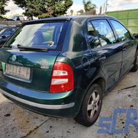 SKODA FABIA 1.4 68CV 99-08 -Ricambi