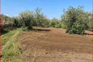 Terreno agricolo in mezzadria gratuita