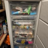 Freezer Rex