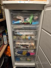 Freezer Rex