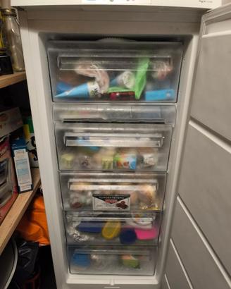 Freezer Rex