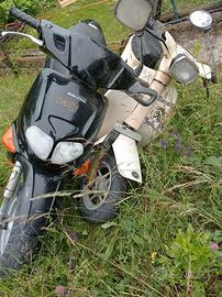  due scooter 