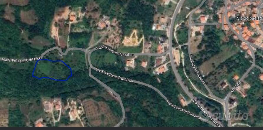 Terreno agricolo adibito a Vigna e Uliveto - Vista 2
