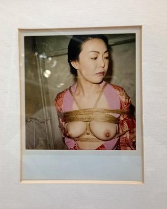 Polaroid Araki 