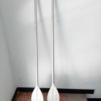 2 REMI IN ALLUMINIO SEMINUOVI 