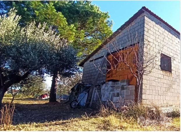 ORTONA, magazzino con terreno