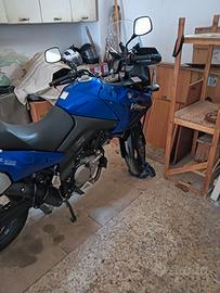 Suzuki Vstrom 650 iscritta ASI 