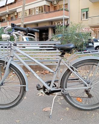 Bicicletta Olmo 200