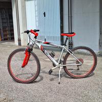 bicicletta montain bike ruota 26 pollici