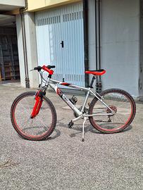 bicicletta montain bike ruota 26 pollici