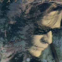 Daryl Hall - Three Hearts In The Happy Ending.LP