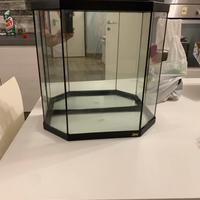 Acquario Rena con accessori