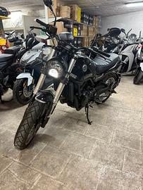 Benelli Leoncino 500 Moto