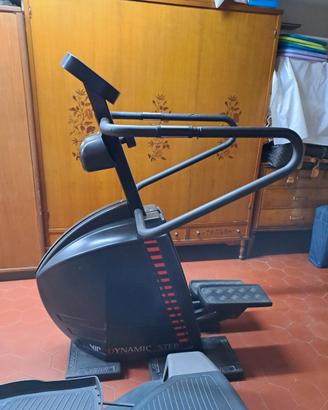 macchinario professionale da palestra