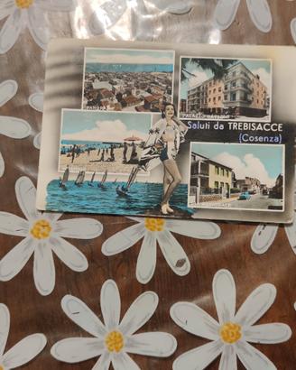 cartolina della Calabria 