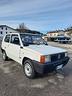fiat-panda-900-i-e-cat-young