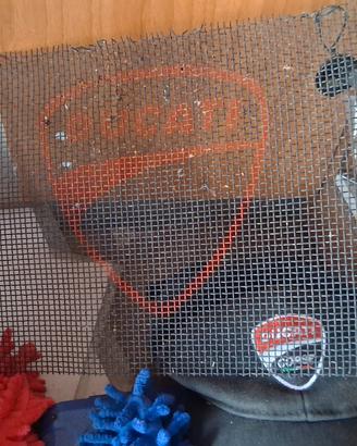 griglia radiatore e cappellino ducati multistrada 