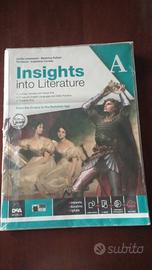 insight into literature  A