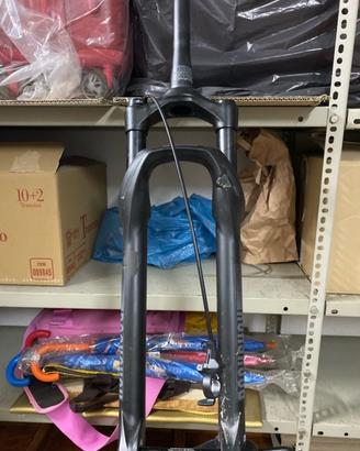 Bici mtb rebel carbonio da 29