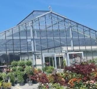 Serra in ferro e vetro, per produzione o commercio