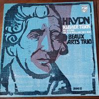 vinili Haydn