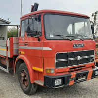 Iveco 130 con gru