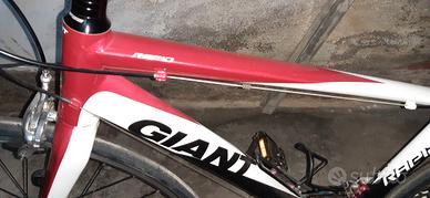  bici giant 