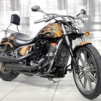 Kawasaki VN 900 Custom Special Edition