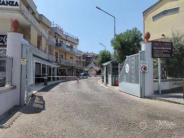 In parco privato con terrazzi locato