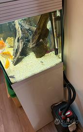 Acquario Askoll Pure XL