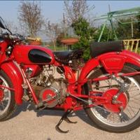 Moto Guzzi- Anni 50