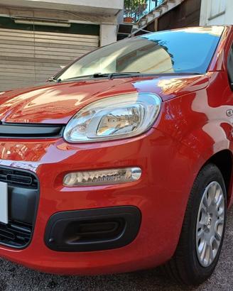 FIAT Panda Pandina 1.0 FireFly S&S Hybrid Icon 5